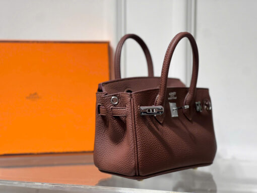 BIRKIN MINI B20 spsl Fullbox 3